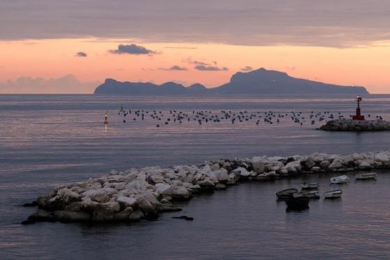 Frühstückspension Terrazze Del Lungomare Neapel
